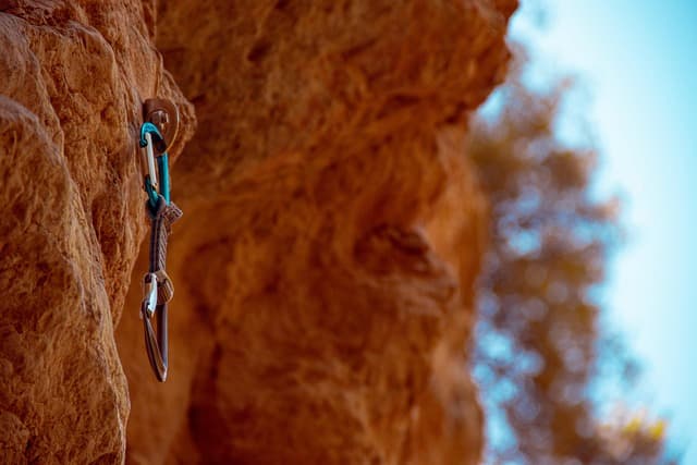 AI 시대에도 살아남는 아날로그 취미 – 옛것을 즐기는 현대인의 방법