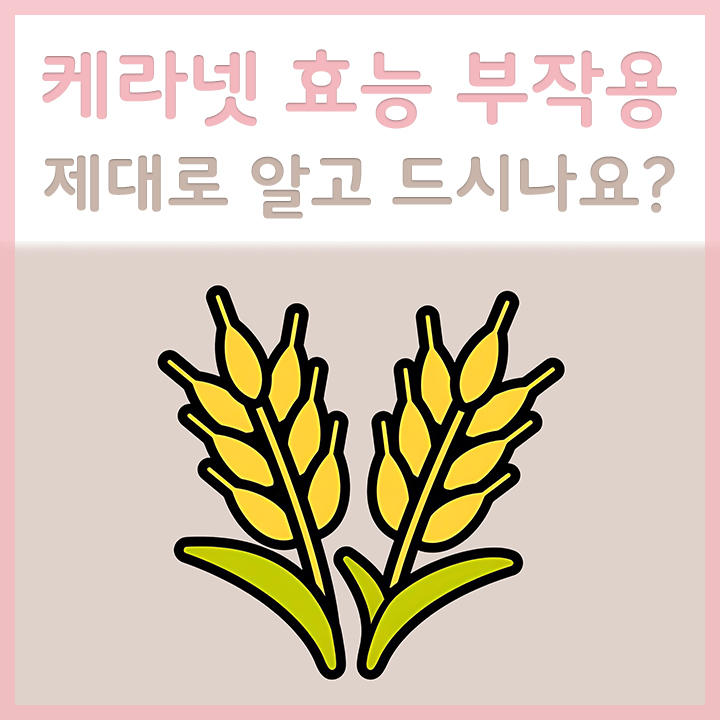 케라넷