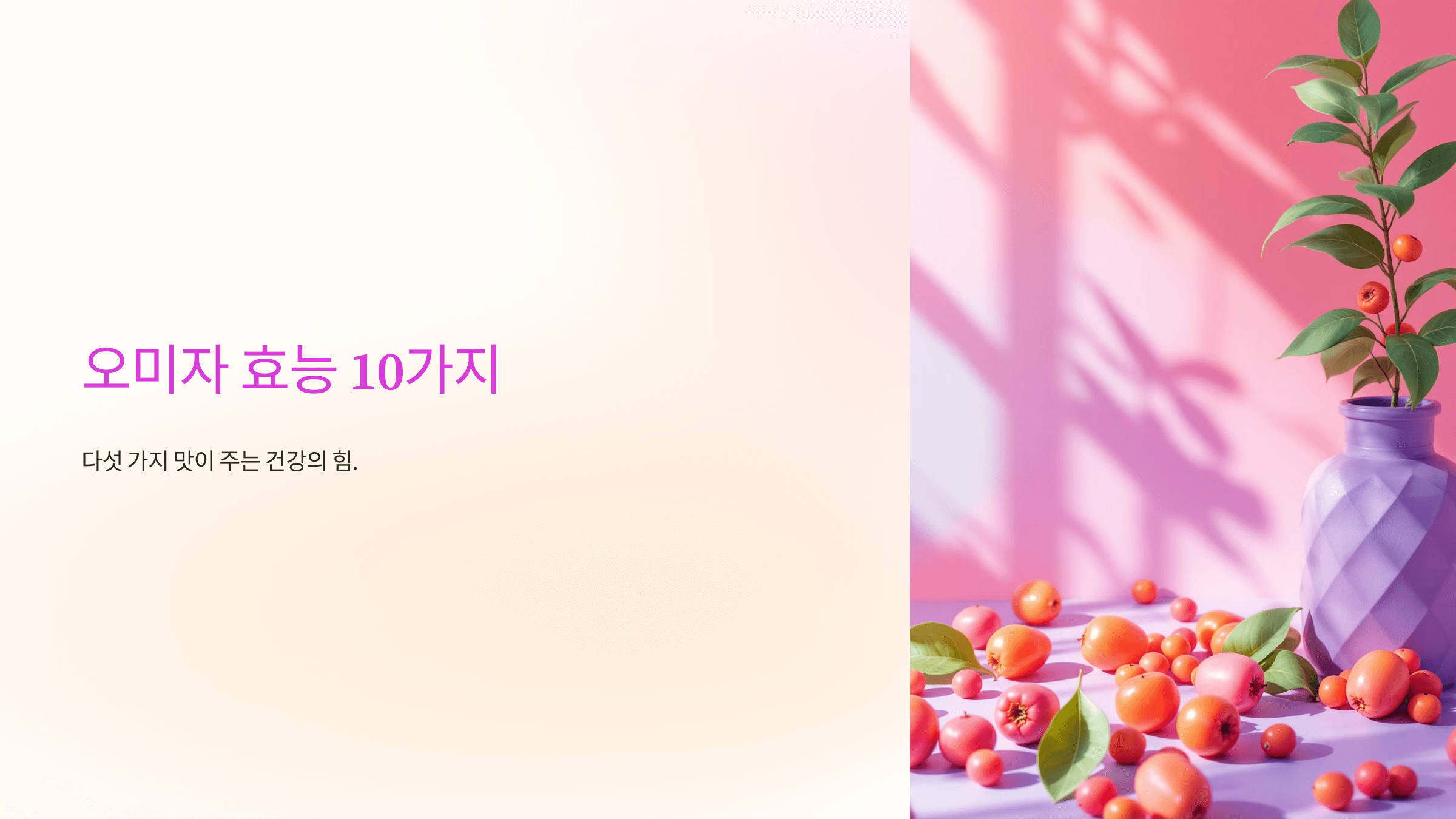 오미자 효능과 관련된 사진입니다.