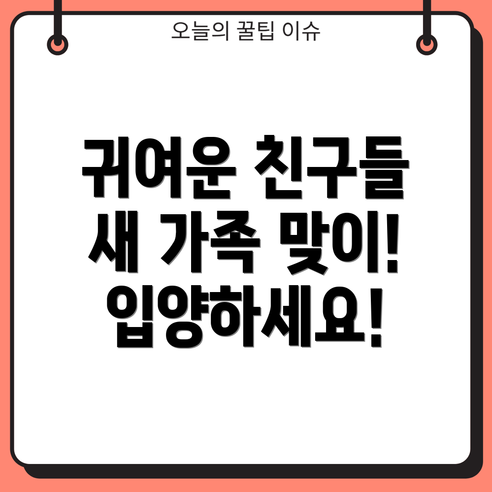 강아지와 고양이 분양 및 입양