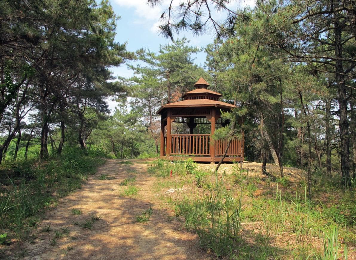 경남 창녕군 우포늪, 우포생태관, 우포출렁다리