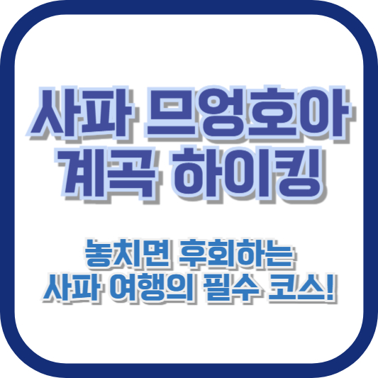 놓치면 후회하는 사파 여행의 필수 코스!