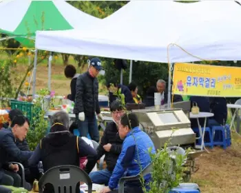 고흥 유자축제_32