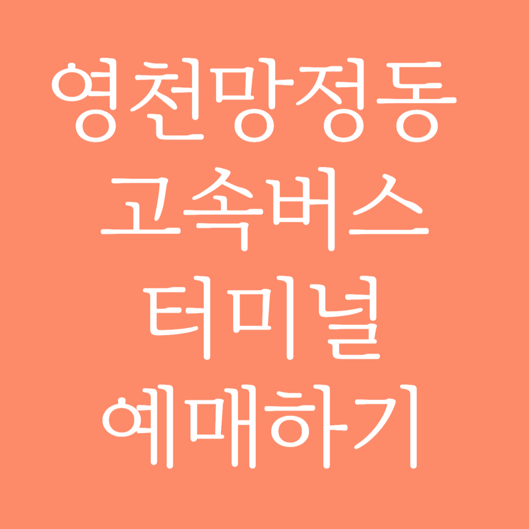 영천망정동 고속버스터미널 시간표 조회 및 예매하기