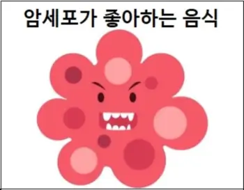 암세포가 좋아하는 음식