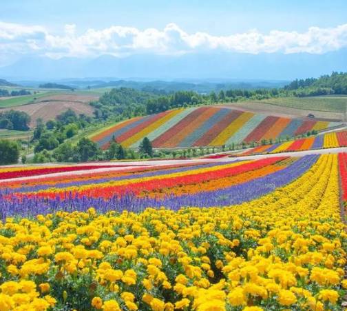 홋카이도 후라노(Furano)