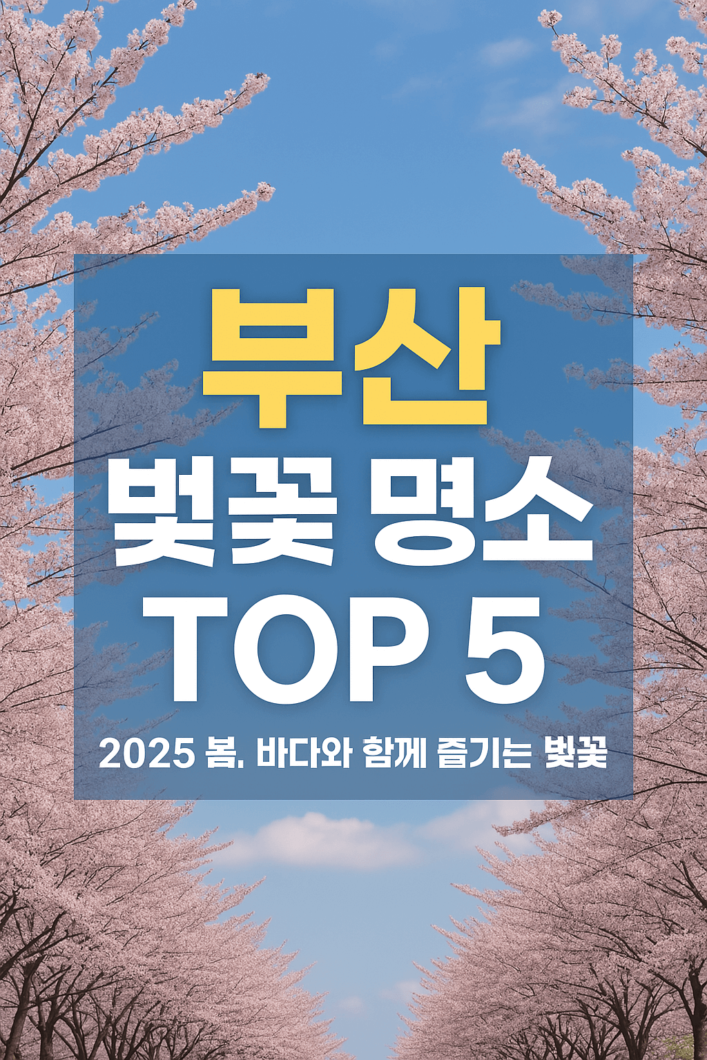 부산-벚꽃-썸네일-이미지