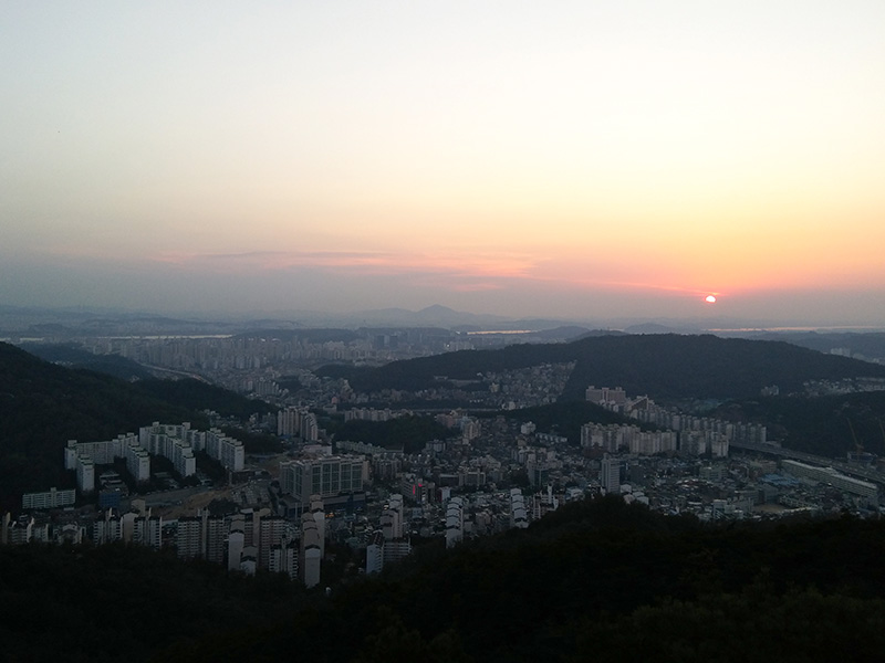 인왕산(Inwangsan Mountain) 꽃돼지를 만나다!
