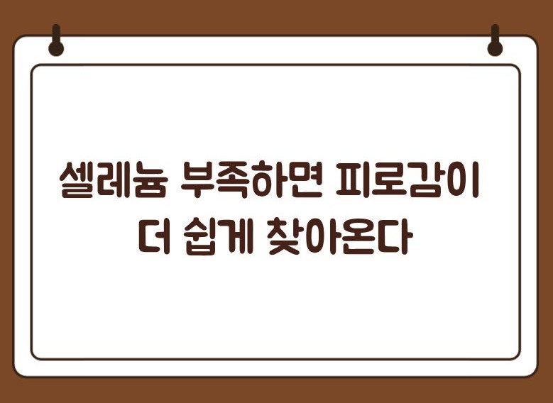 셀레늄 효능