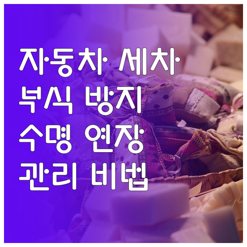 효율적인 자동차 세차 관리: 부식 방..