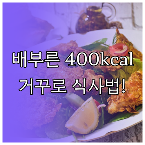 포만감 높은 400칼로리 다이어트 식..