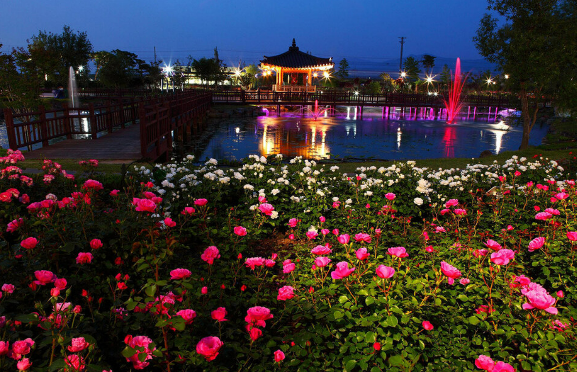 곡성 장미축제 야간개장