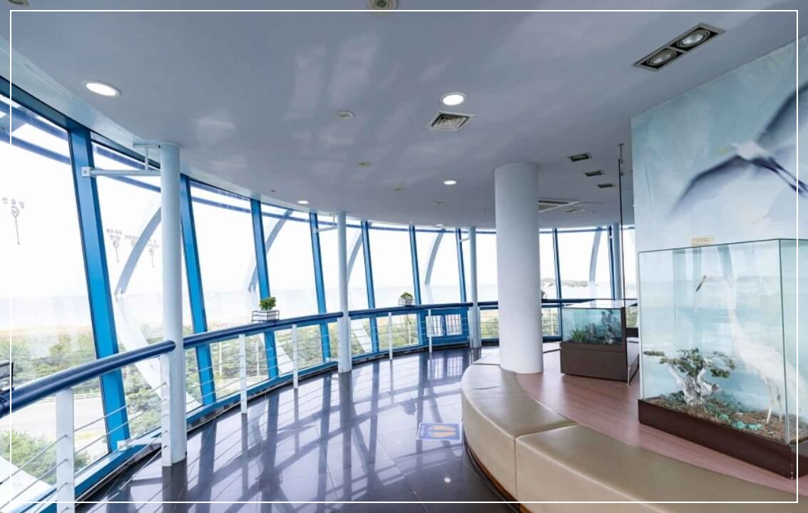 고성 가볼만한곳 베스트10 송지호 철새관망타워