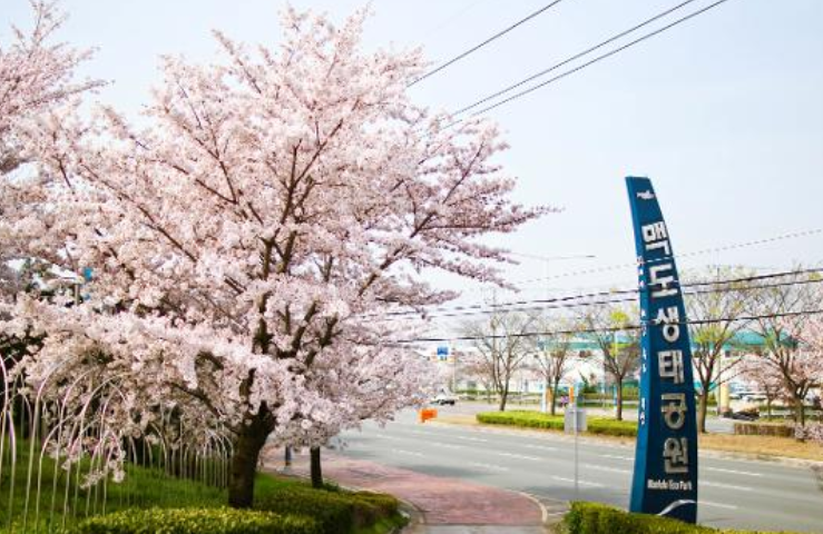 부산 맥도생태공원