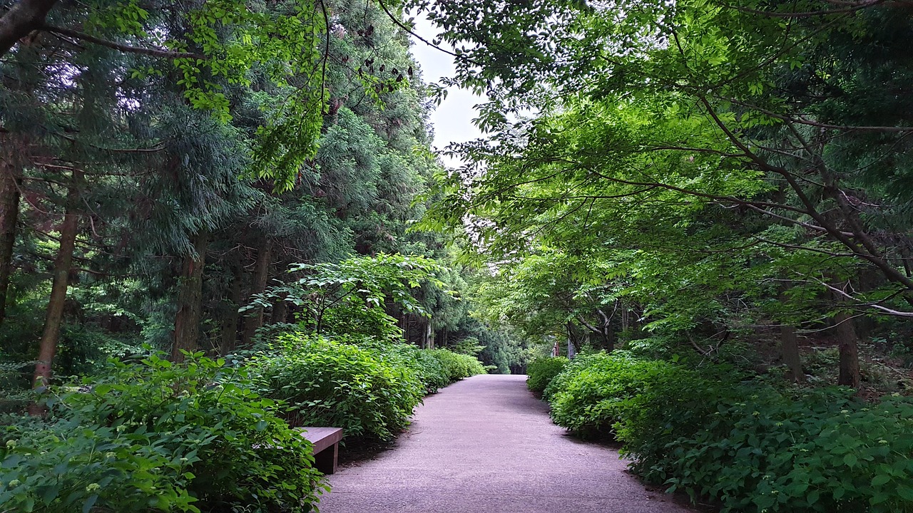 자연의 소리 치유