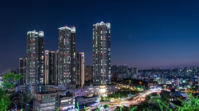 서울동행버스