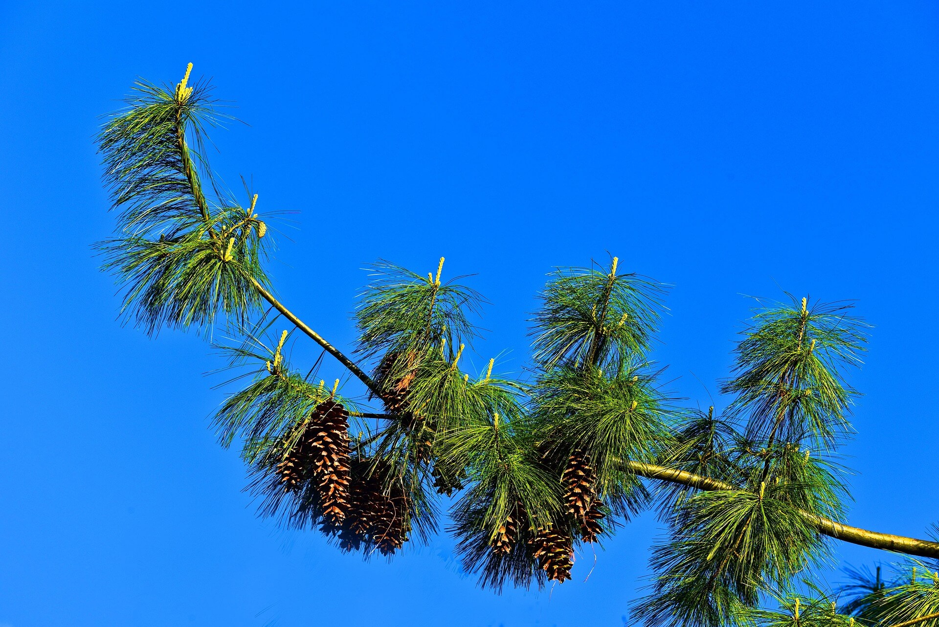 봄철 공기질 관리 방법 총정리: 환기 타이밍부터 공기청정기 필터까지