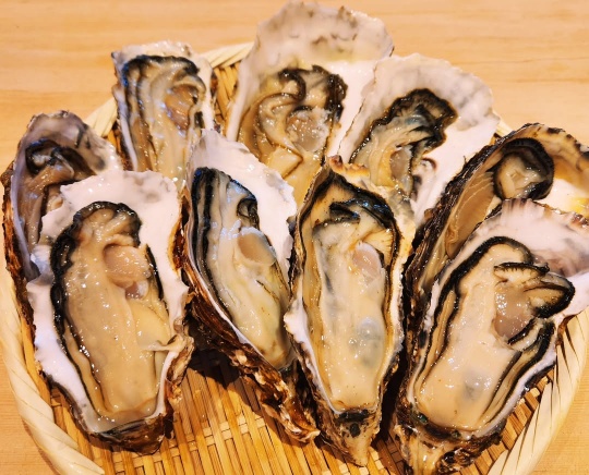 강서구 마곡동 오마카세 '스시교메이'