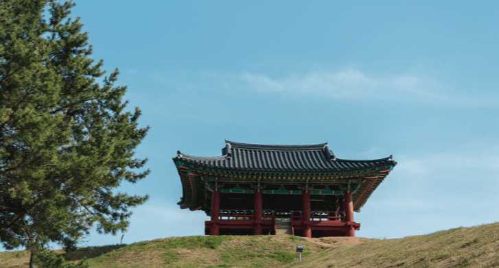 완도 가볼만한곳 베스트10