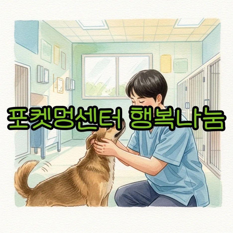 봉사자가 유기견을 다정하게 쓰다듬는 따뜻한 모습