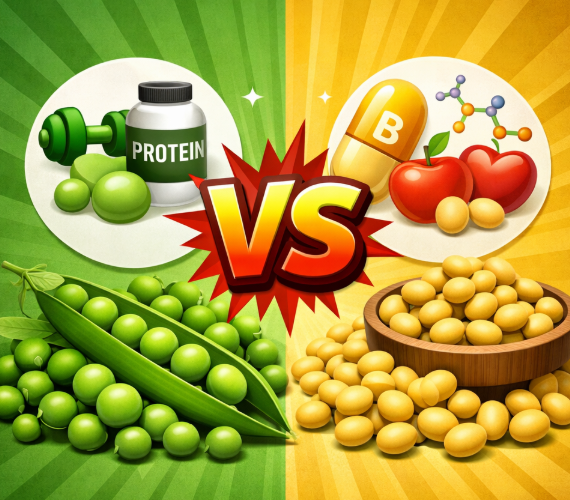 완두콩 대두 차이 무엇일까 : 영양성분과 효능 비교 완벽 가이드