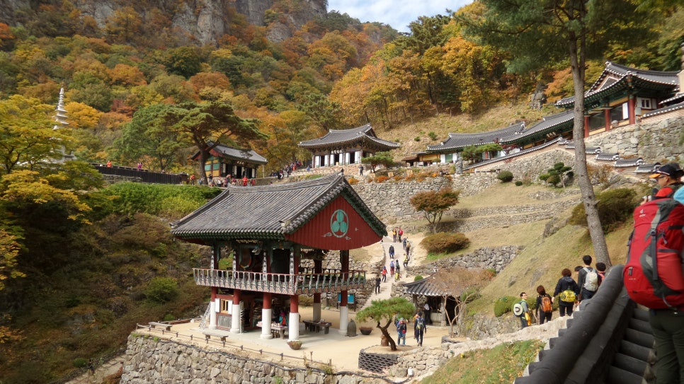 100대 명산 등산하기 첫번째 봉화 청량산은 소금강이라 불릴 만큼 아름다운 암봉과 깊은 계곡, 고요한 사찰 청량사가 조화를 이루는 경북 봉화의 대표 명산