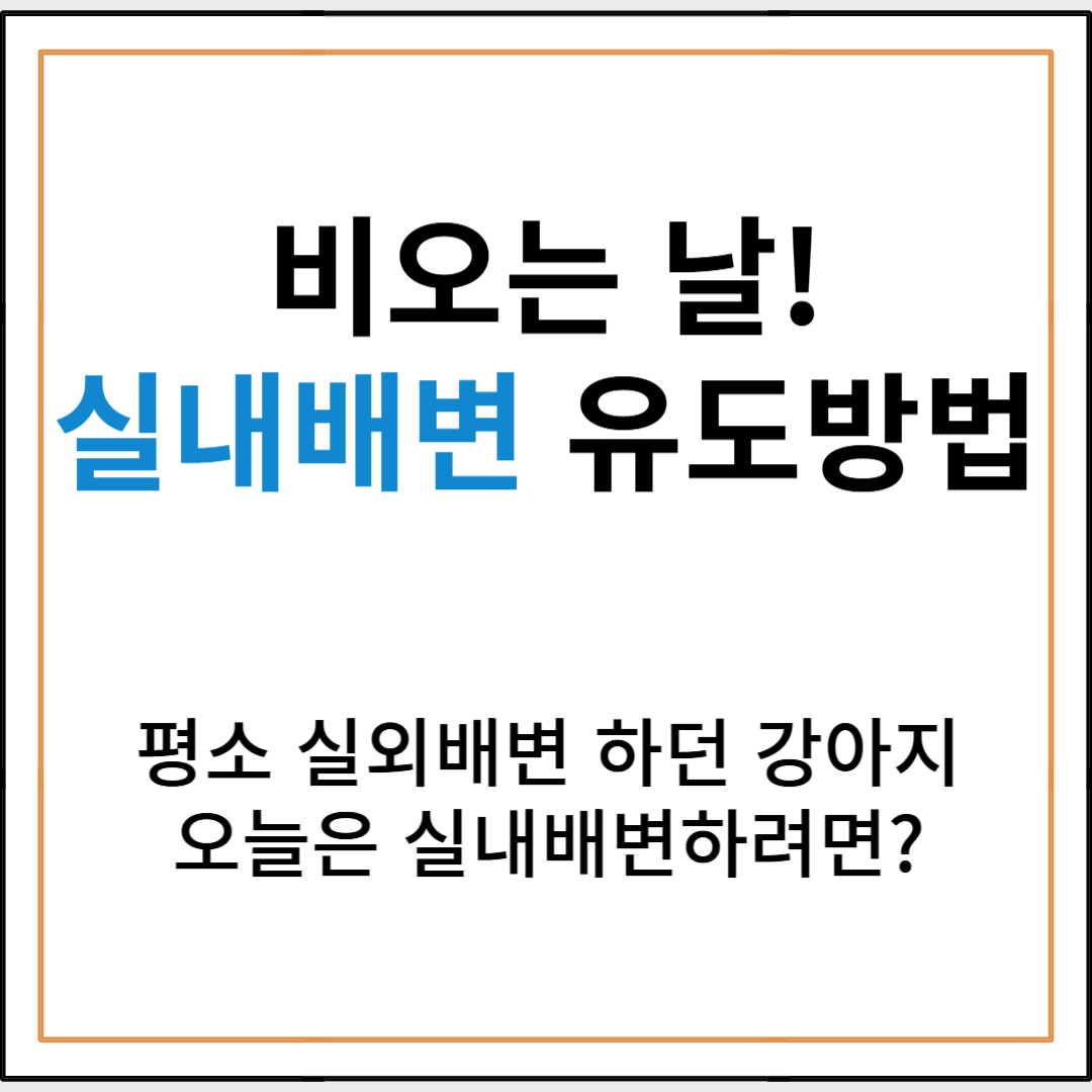 비 오는 날, 실외배변에 익숙한 강아지 실내배변 유도하는 방법