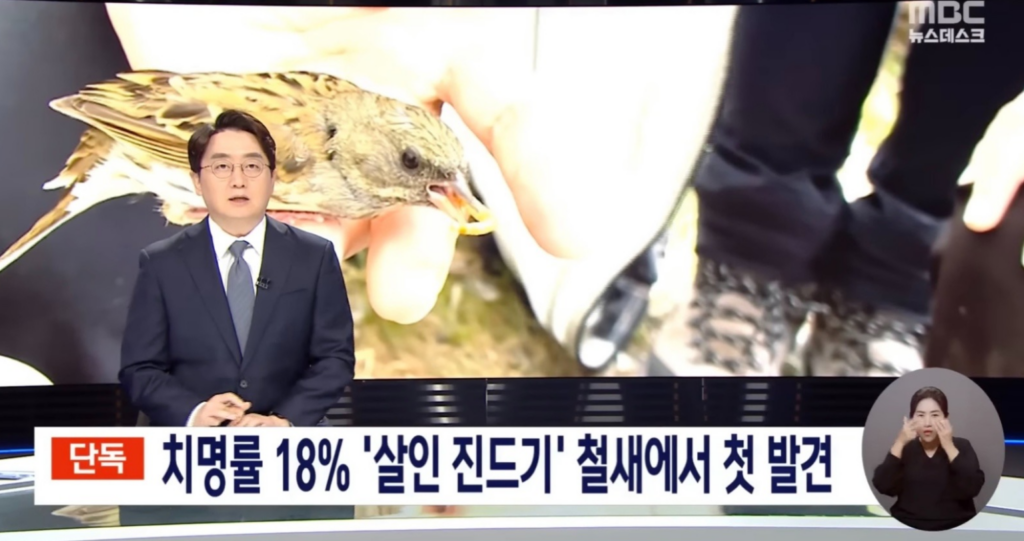 살인 진드기 뉴스