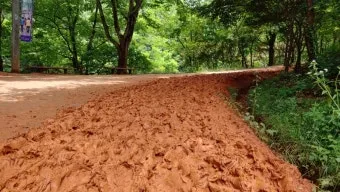 황토길 맨발 걷기 효능과 건강 효과 핵심 정보 정리해보기_22