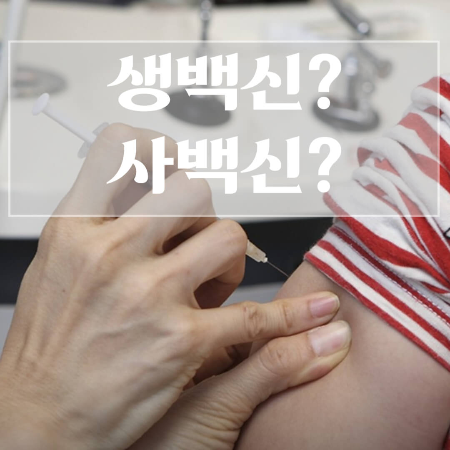 일본-뇌염-예방접종-시기