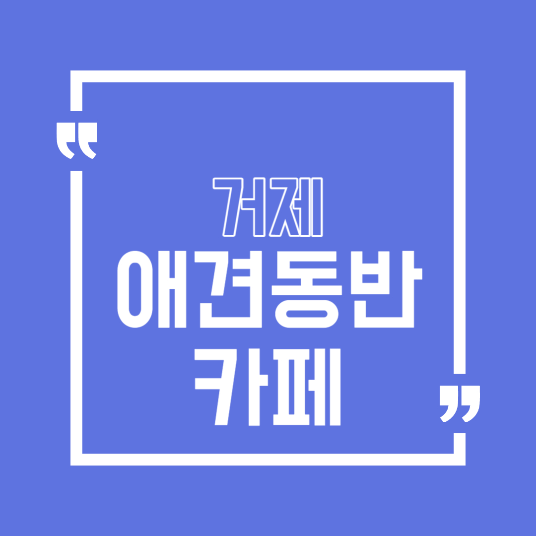 거제 애견동반 카페