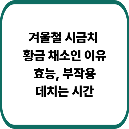 시금치 효능과 부작용