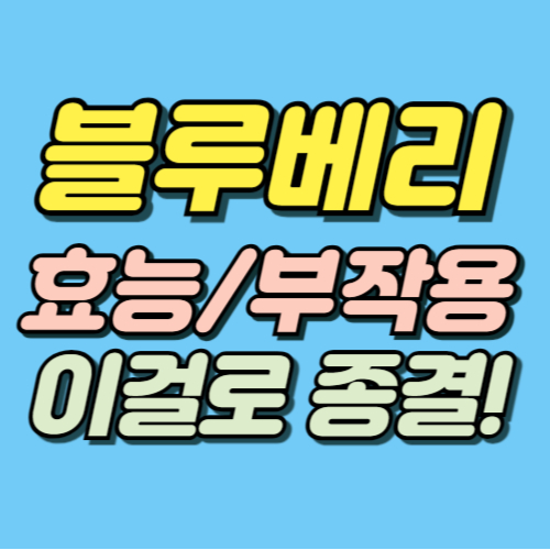 블루베리 효능 부작용