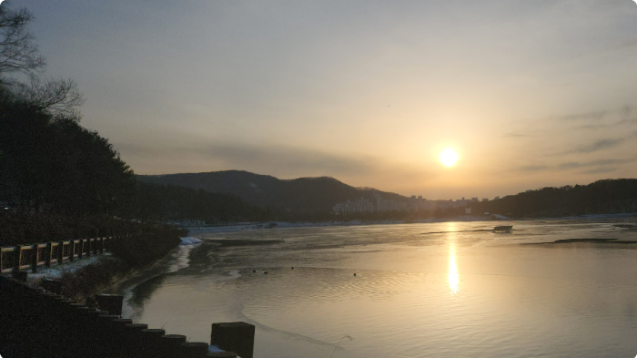 율동공원 나폴레옹