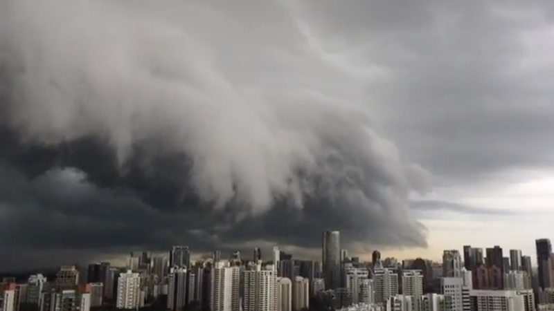 7월-10월 : 스콜 시기