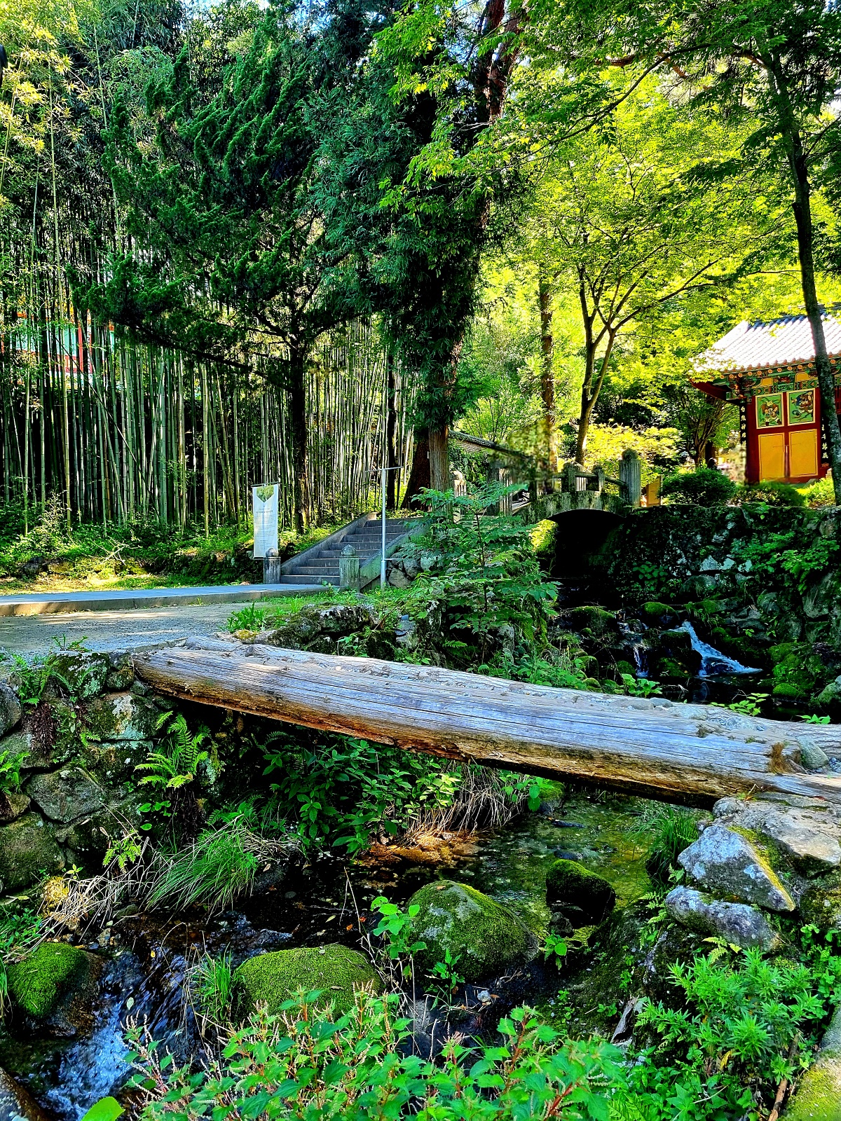 경남 하동 쌍계사: 맑은 계곡이 흐르는 지리산의 절