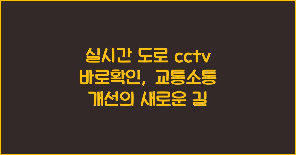 실시간 도로 cctv 바로확인