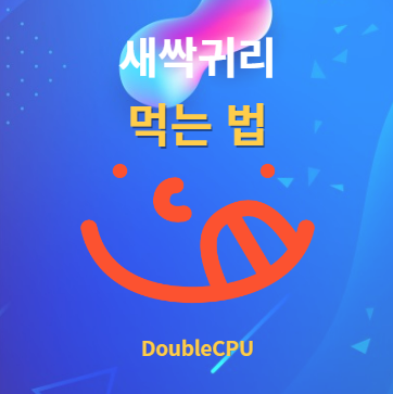 새싹귀리 먹는법