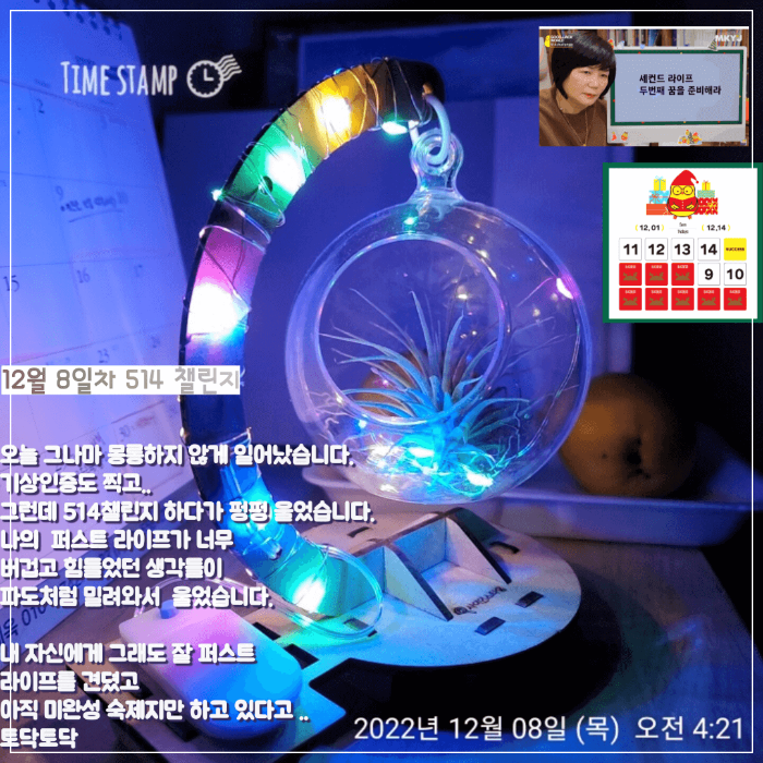 갓생-아침일찍일어나기-KMYU에서모닝챌린지-MZ신조어