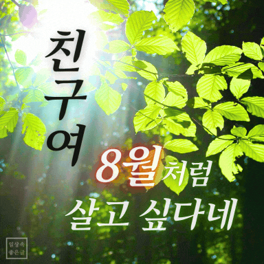 친구에게 보내는 8월 편지 이미지