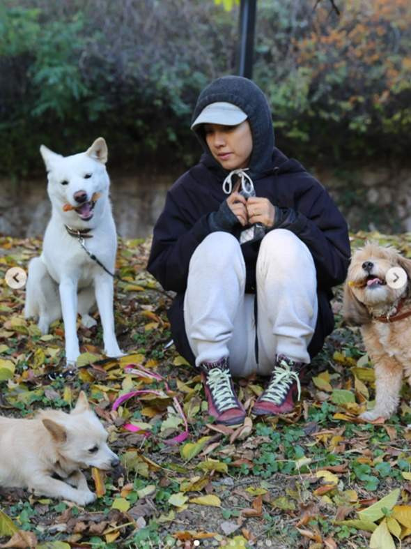이상순 나이 몇 살? 2026 프로필&middot;이효리 결혼&middot;평창동 집&middot;재산&middot;라디오 총정리