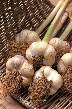 고지혈증에 좋은 음식 식단 좋은 운동 고지혈증에 나쁜음식