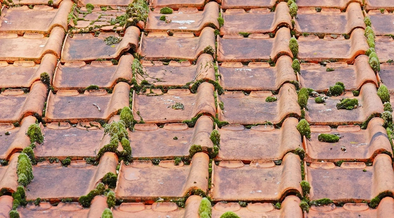 공장 지붕 단열의 필요성