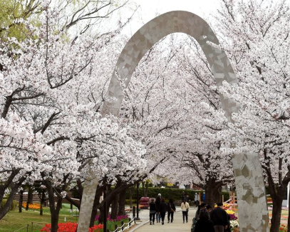  김해 벚꽃 명소