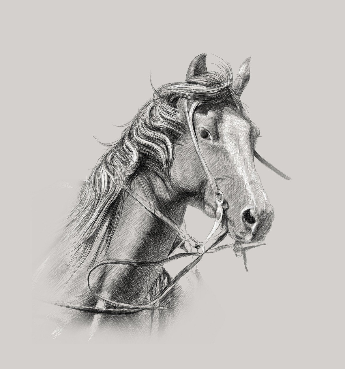 말을 표현한 그림 사진