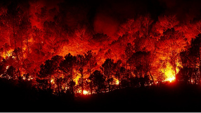산불예방의 날: 우리의 자연을 지키는 첫걸음