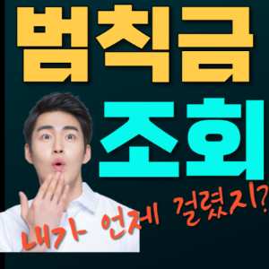 범칙금 조회 사이트