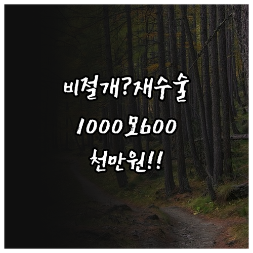 비절개 모발이식 재수술 비용 1000..