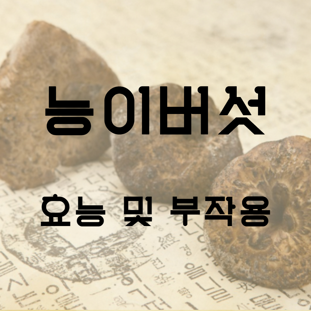 능이버섯 효능 부작용