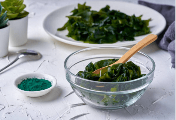 4월 2일 6시내고향 (벼루&amp;#44; 오이&amp;#44; 주꾸미&amp;#44; 축제&amp;#44; 청보리밭&amp;#44; 자연산 돌미역) 정보